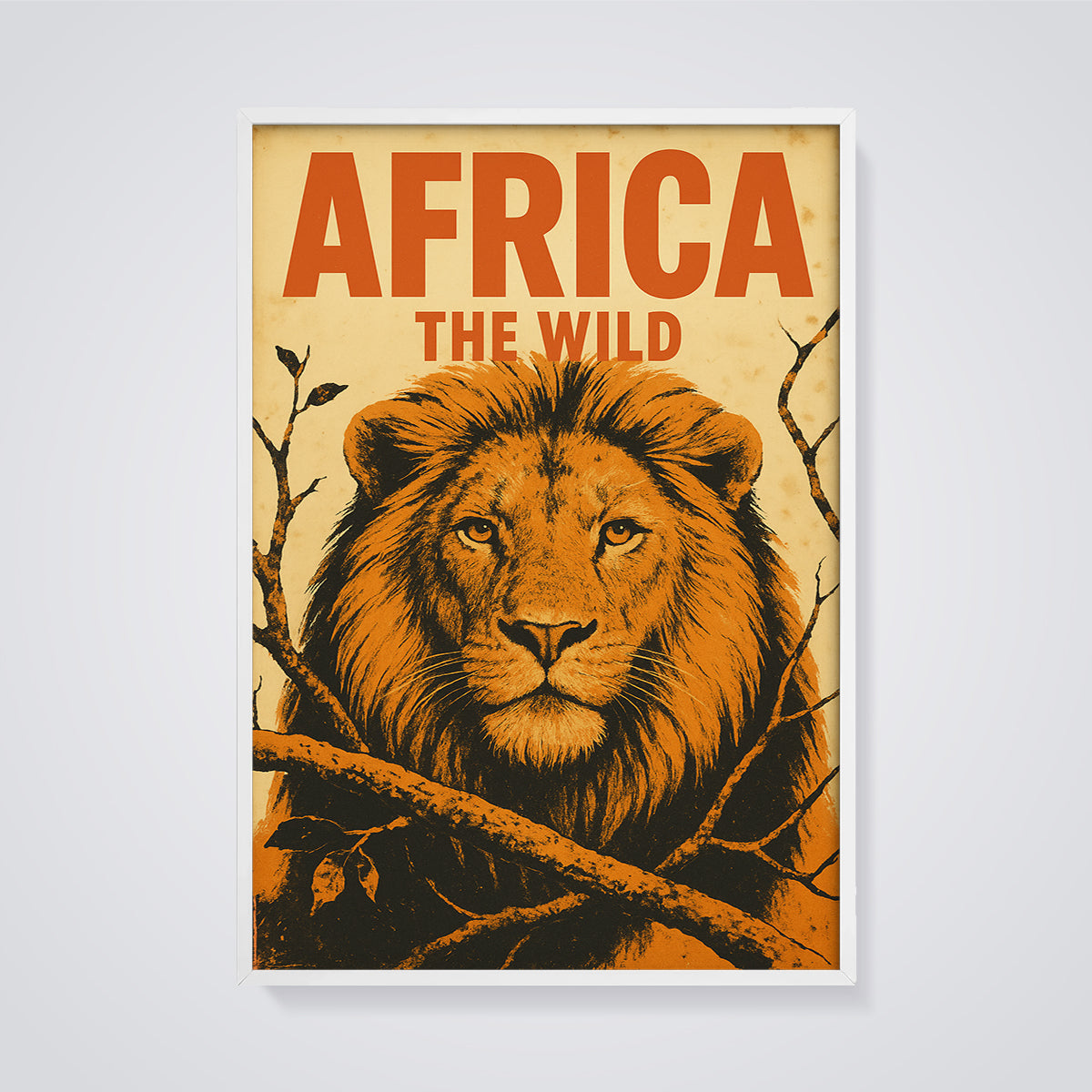 Africa The Wild Lion Print framed in white on a grey background