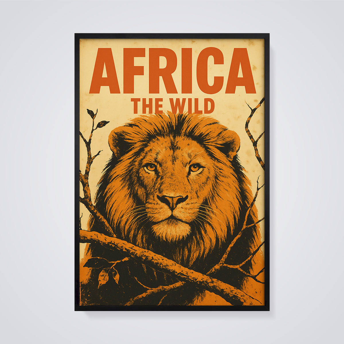 Africa The Wild Lion Print framed in black on a grey background