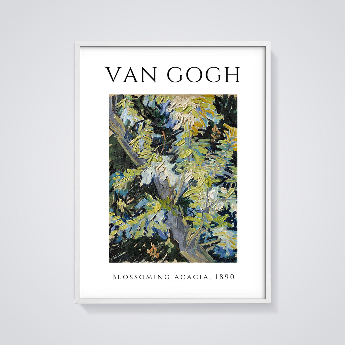Blossoming Acacia Van Gogh Print framed in white on a grey background