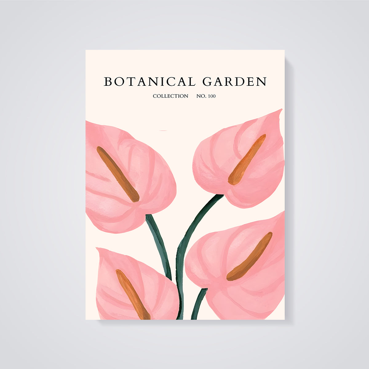 Botanical Garden Pink Anthurium Print unframed on a grey background
