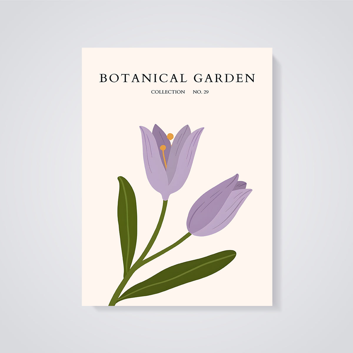 Botanical Garden Purple Tulip Print unframed on a grey background