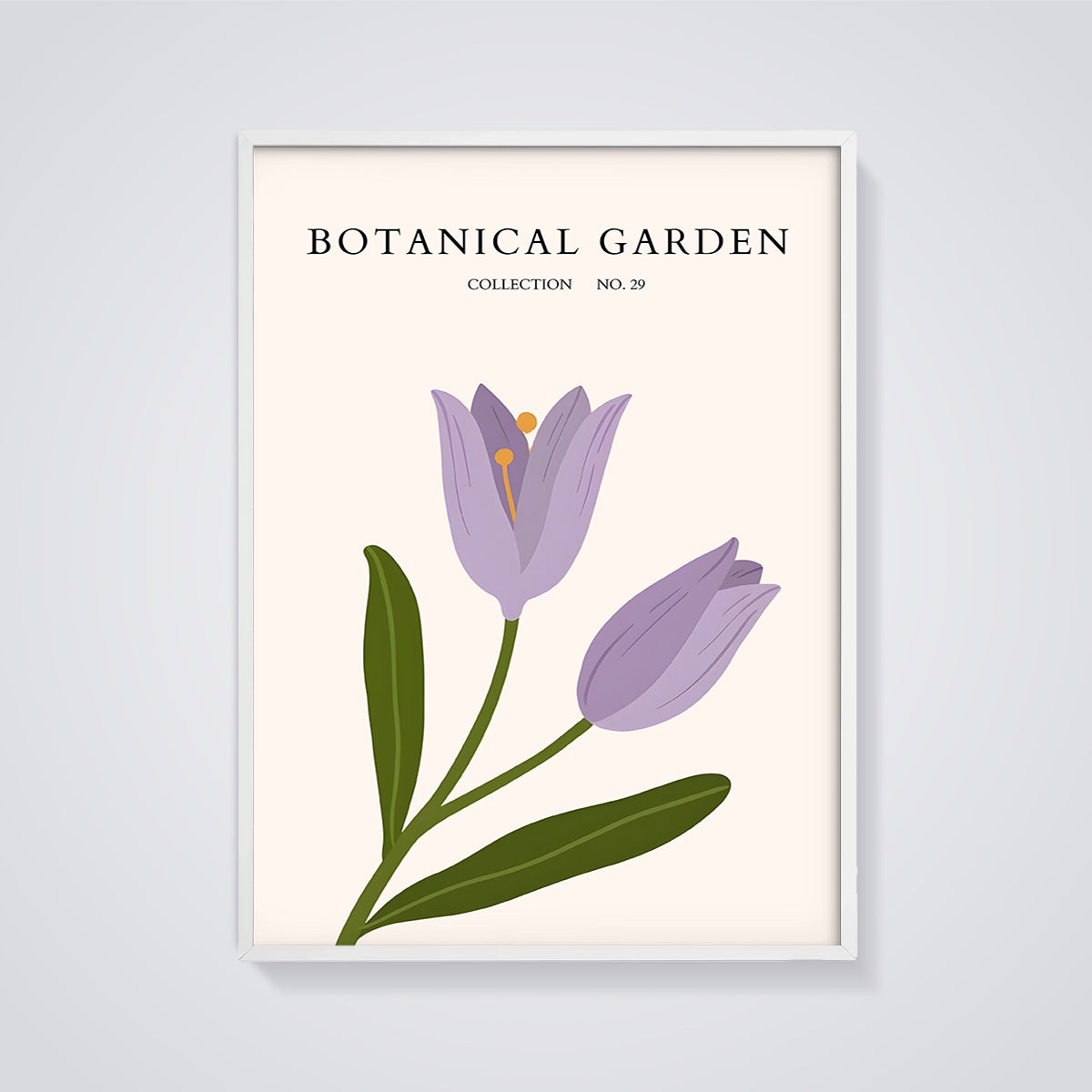 Botanical Garden Purple Tulip Print framed in white on a grey background