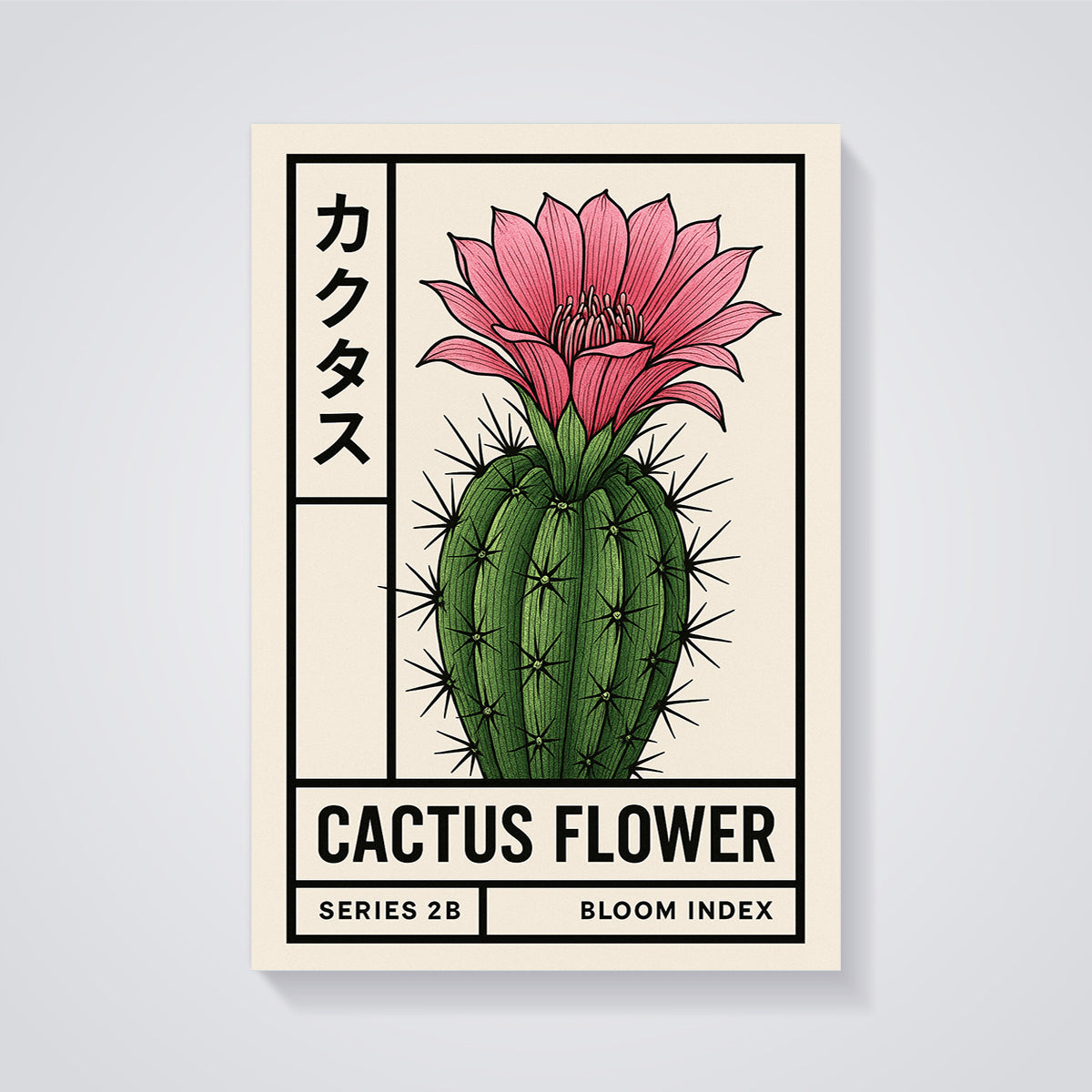 Cactus Flower Bloom Print unframed on a grey background