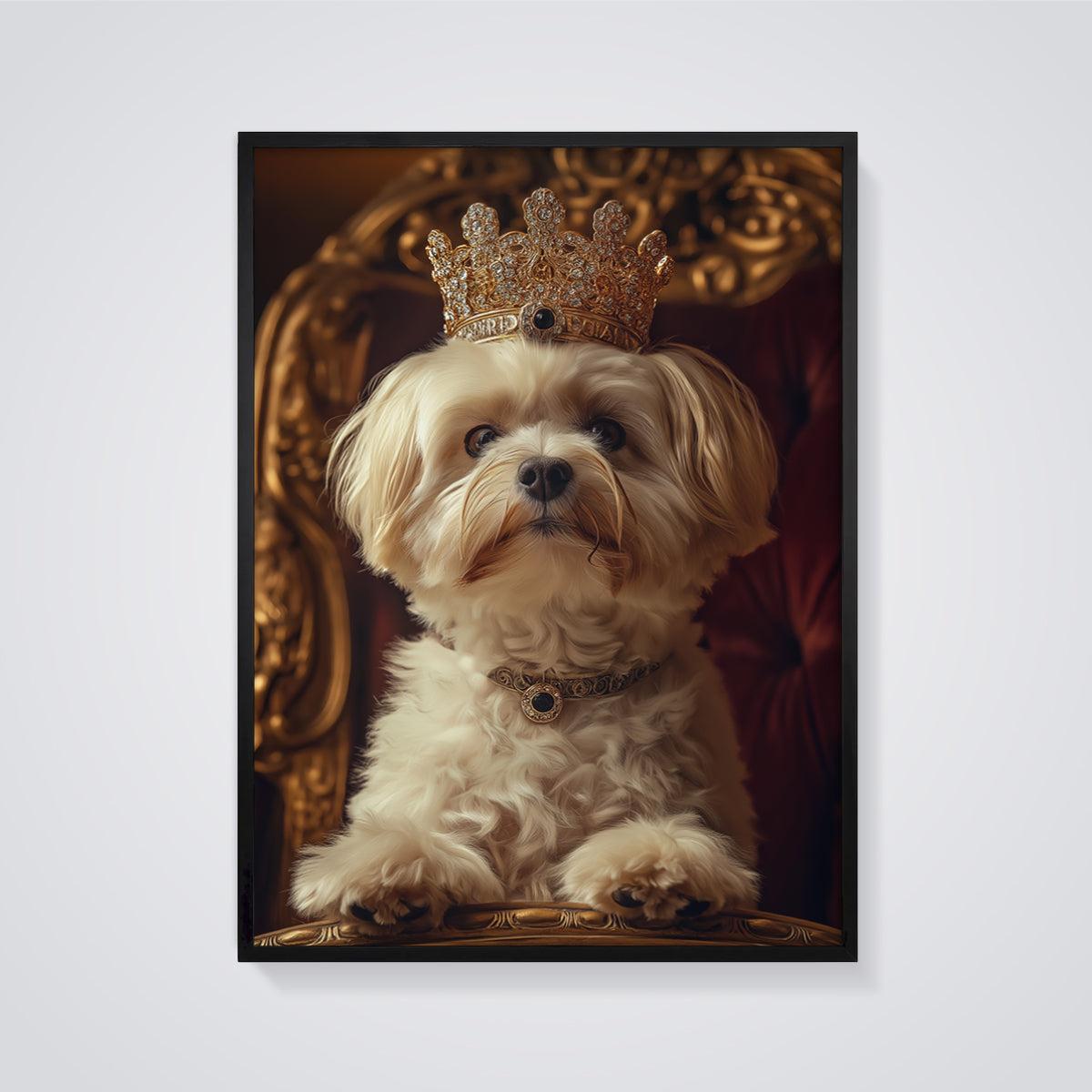 Crowned Maltese Dog Print framed in black on a grey background