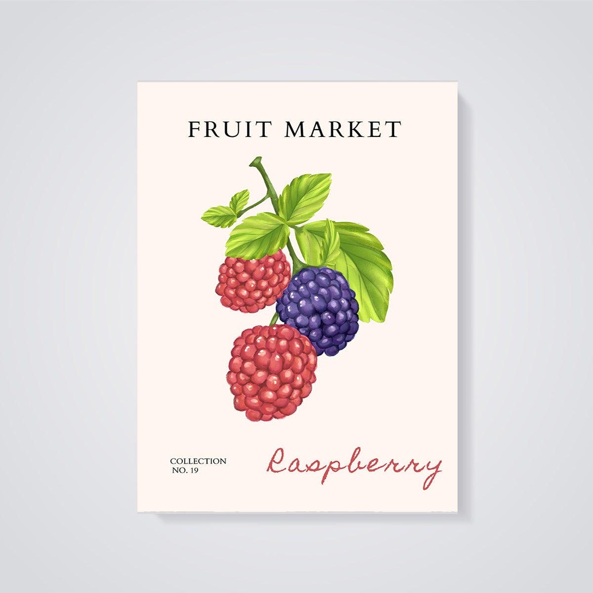 Fruit Market Raspberry Berries Print unframed on a grey background