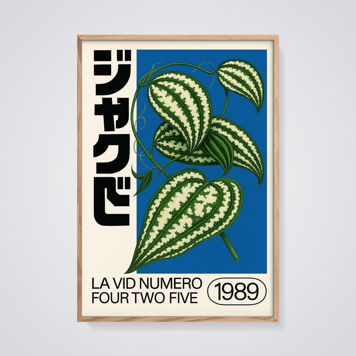 LA VID NUMERO FOUR TWO FIVE Botanical Print framed in oak on a grey background