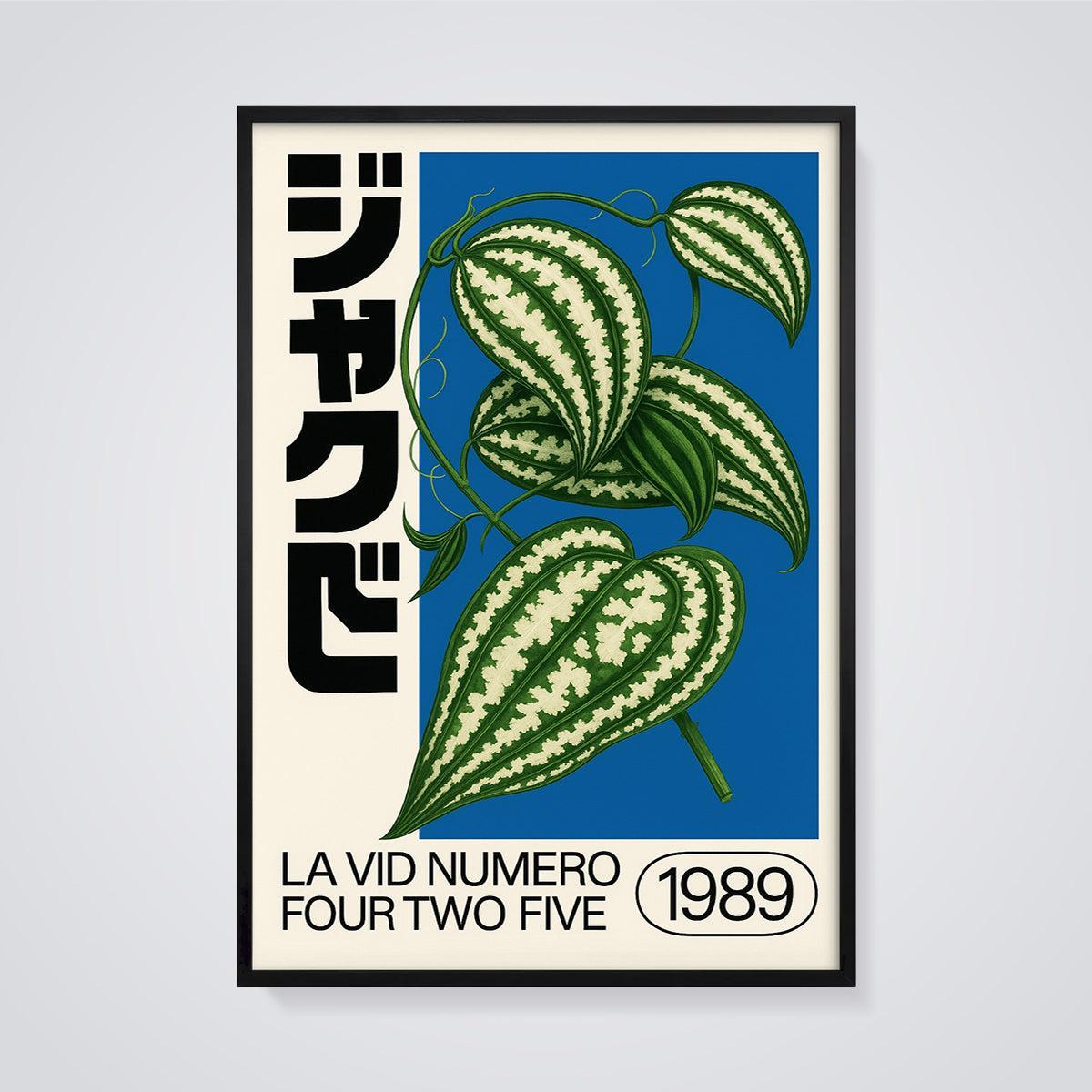 LA VID NUMERO FOUR TWO FIVE Botanical Print framed in black on a grey background