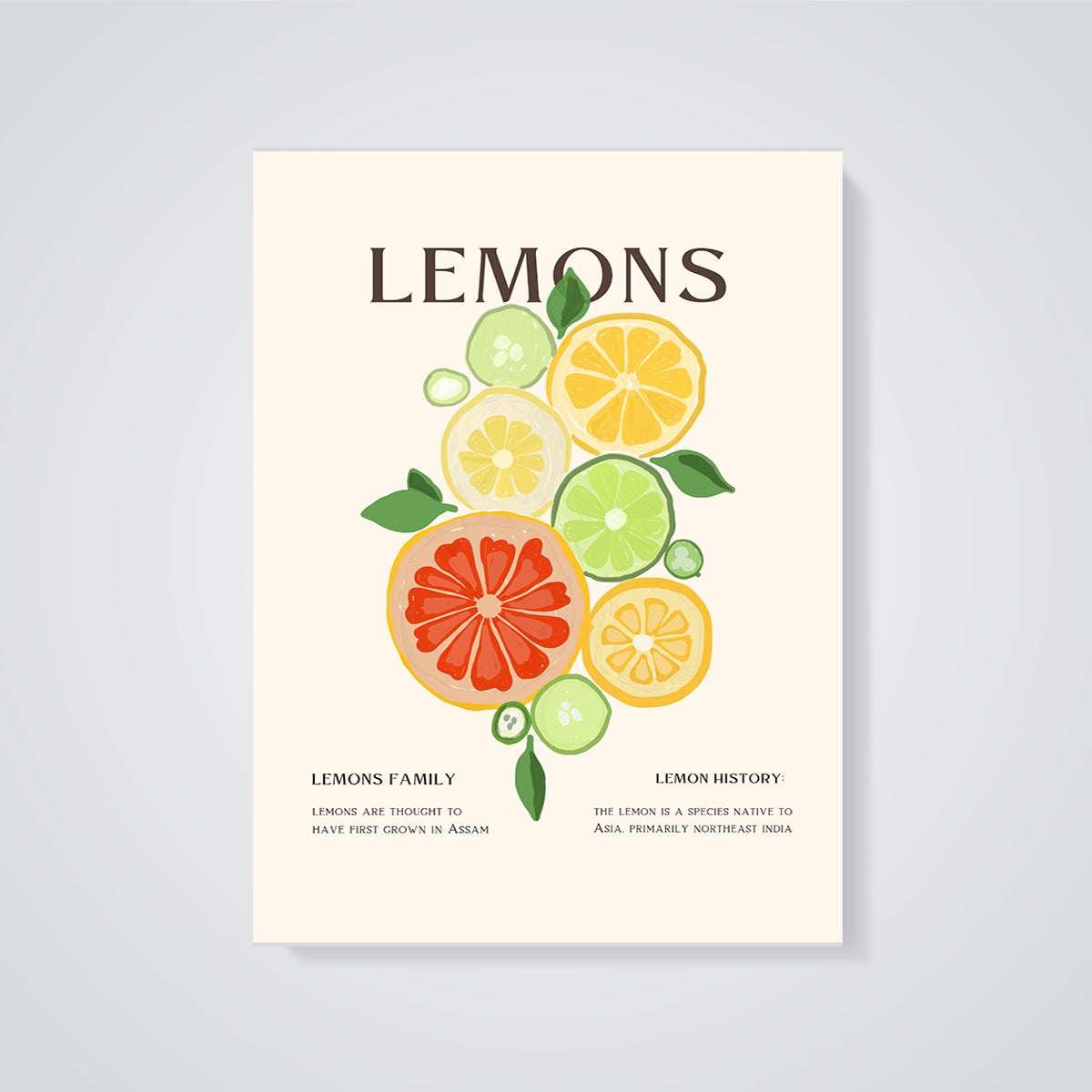 Lemons Citrus Slices Print unframed on a grey background