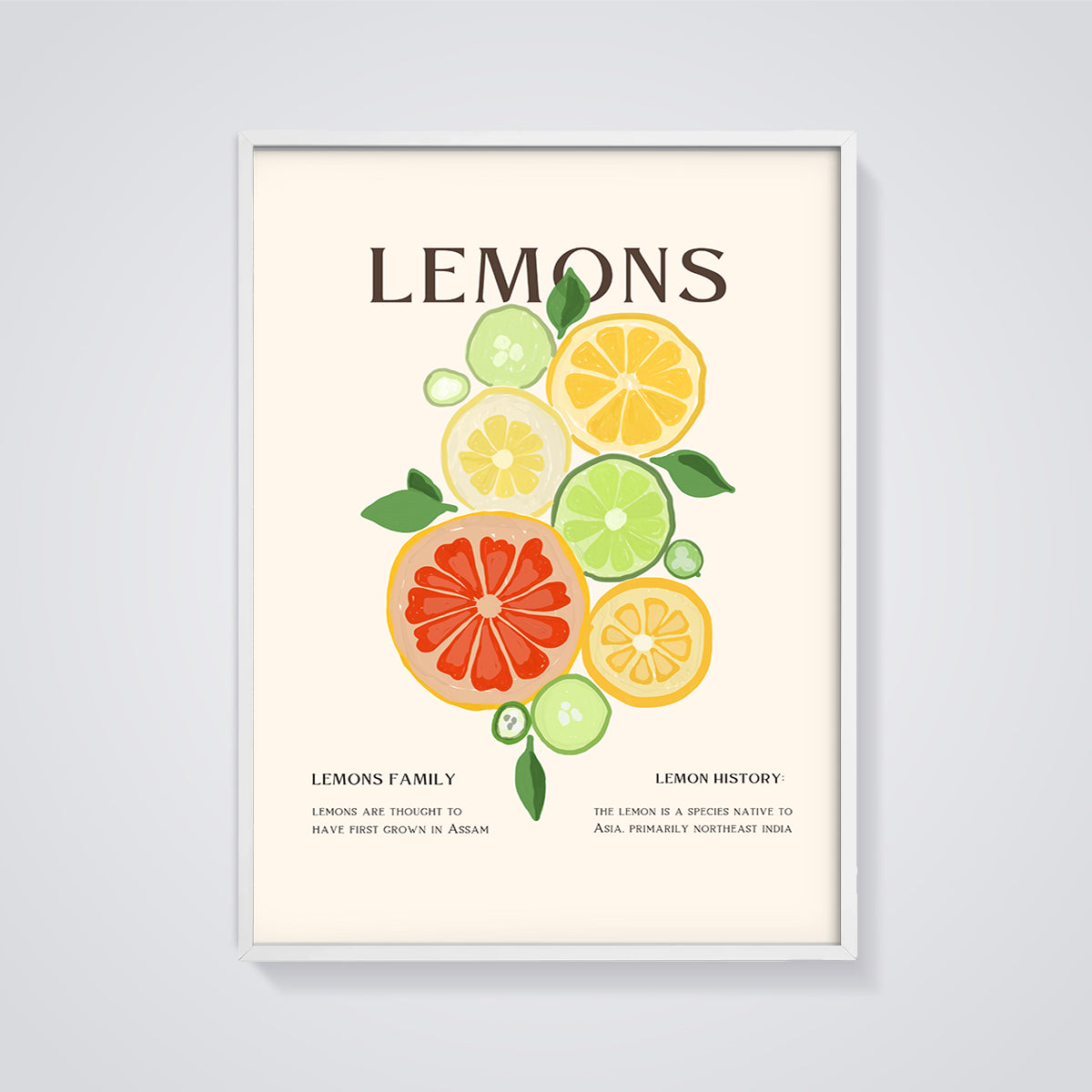 Lemons Citrus Slices Print framed in white on a grey background