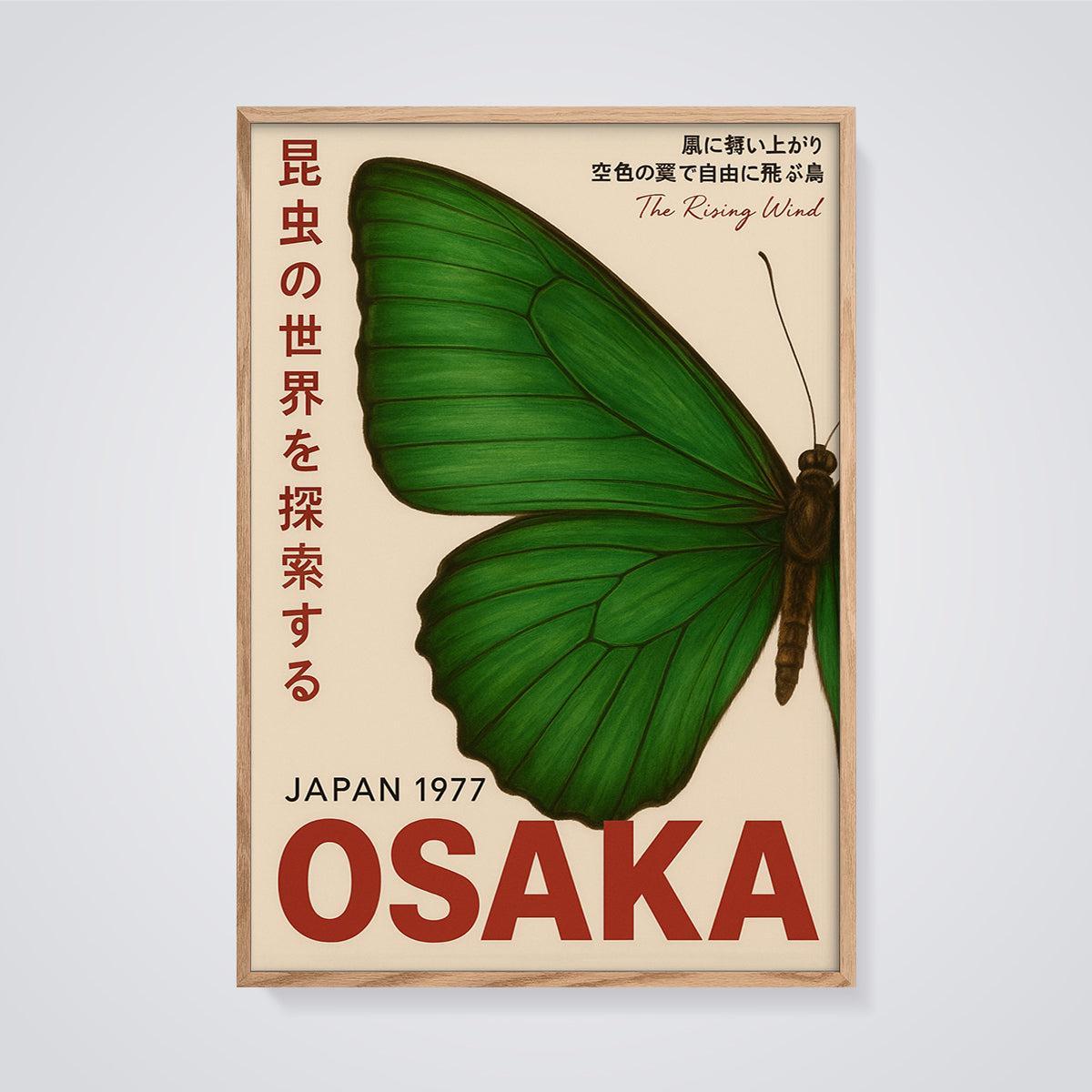 Osaka The Rising Wind Butterfly Print framed in oak on a grey background