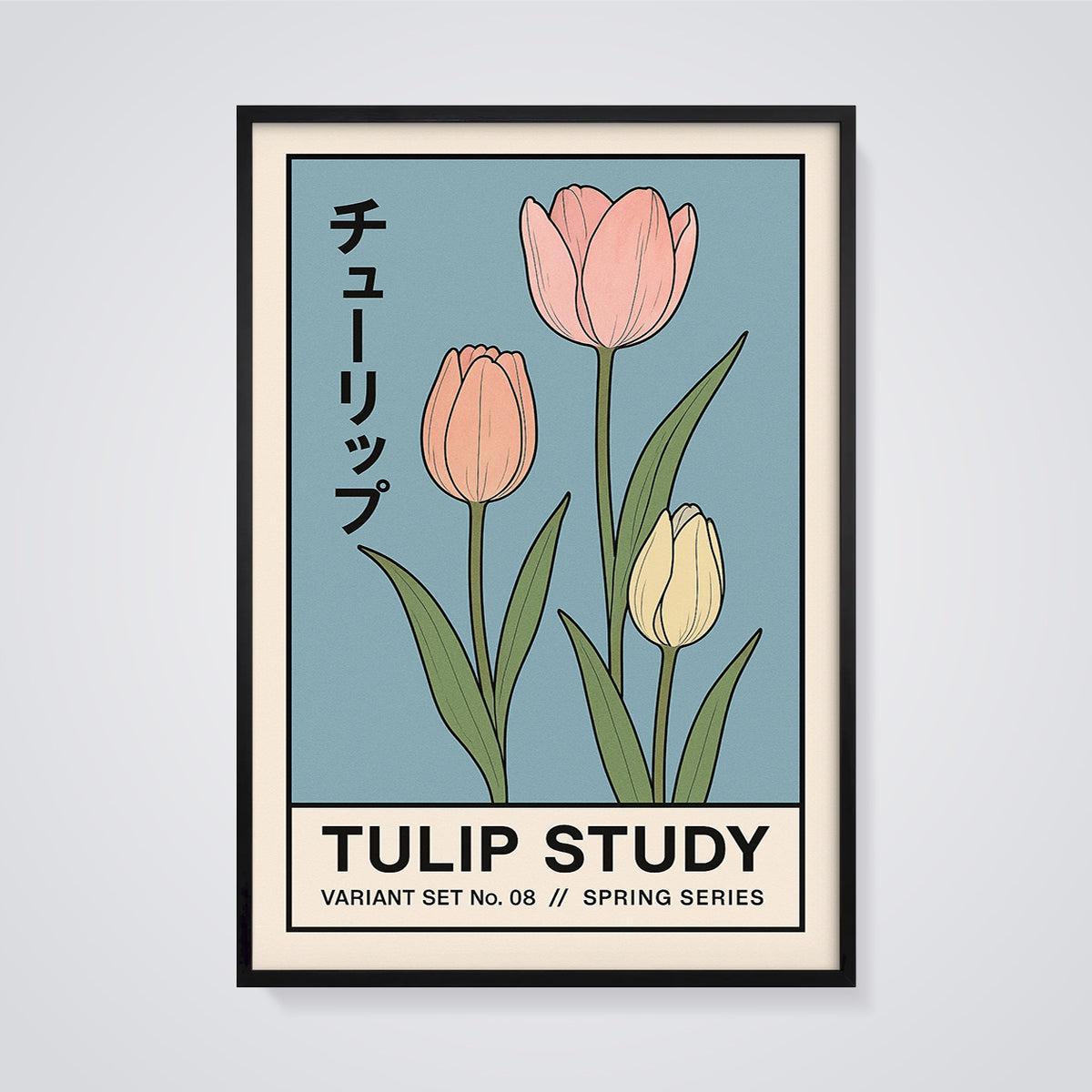 Pink and Yellow Tulip Study Print framed in black on a grey background