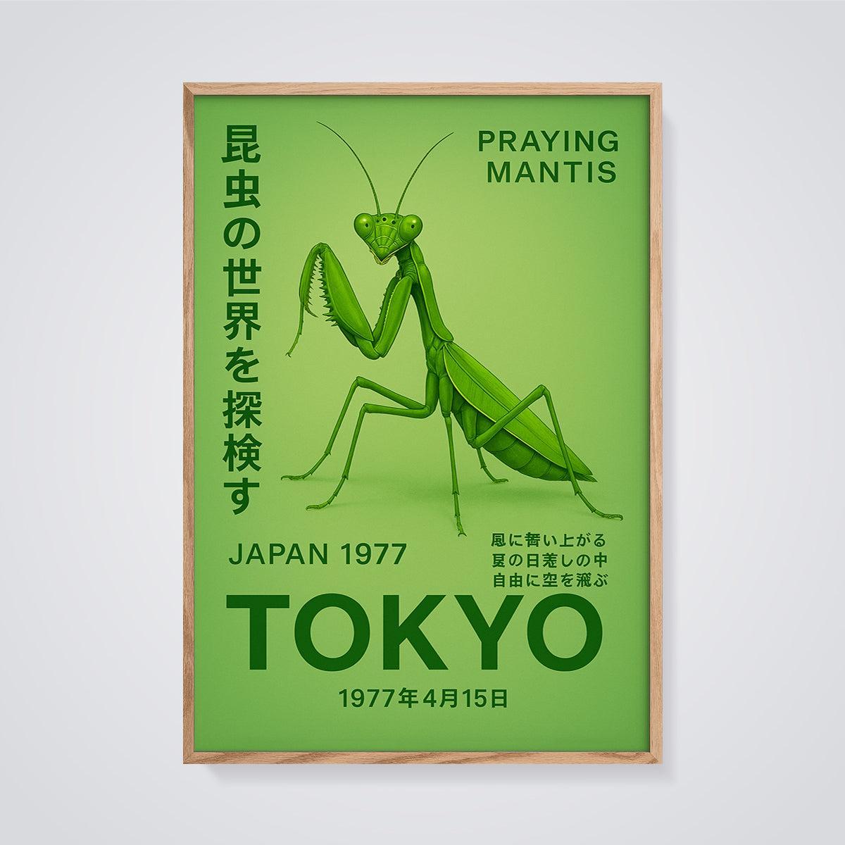 Praying Mantis Tokyo Japan 1977 Print framed in oak on a grey background