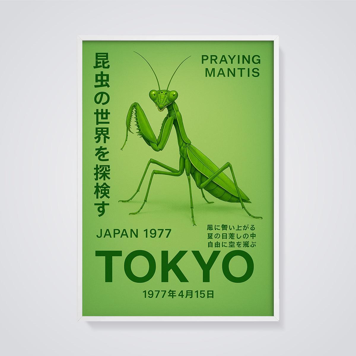 Praying Mantis Tokyo Japan 1977 Print framed in white on a grey background