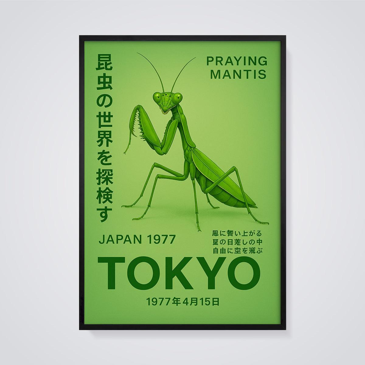 Praying Mantis Tokyo Japan 1977 Print framed in black on a grey background