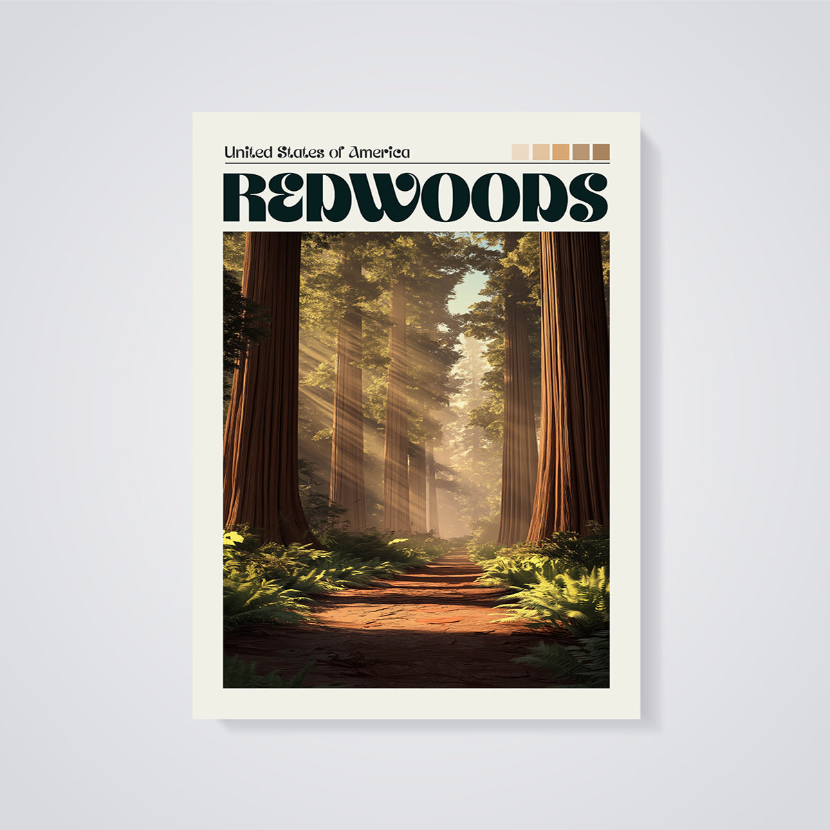 Redwoods Forest Print unframed on a grey background
