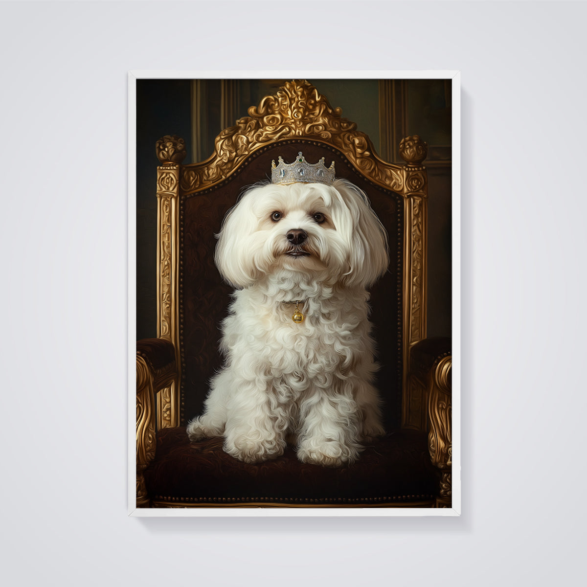 Regal Maltese Portrait Print framed in white on a grey background