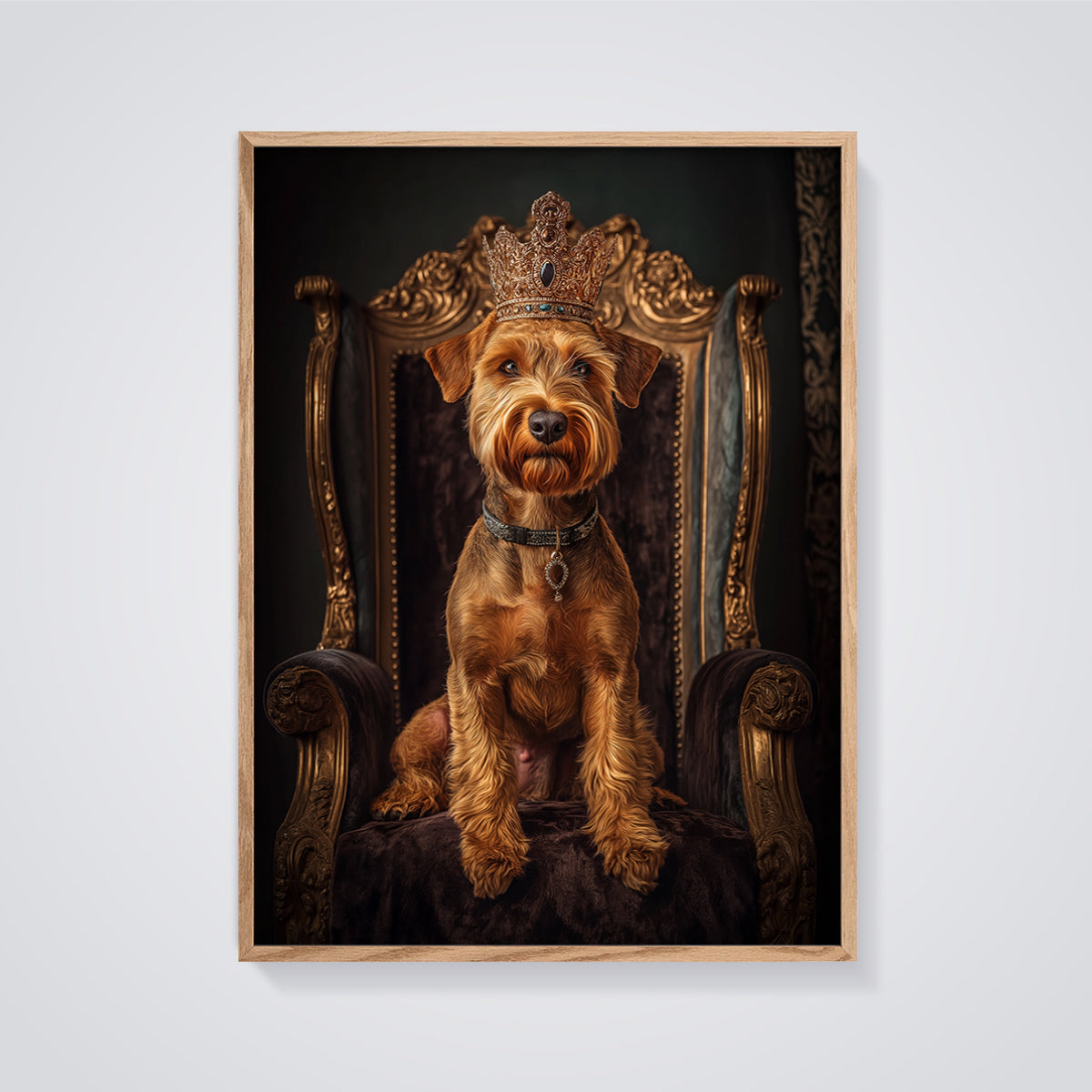 Regal Terrier King Print framed in oak on a grey background