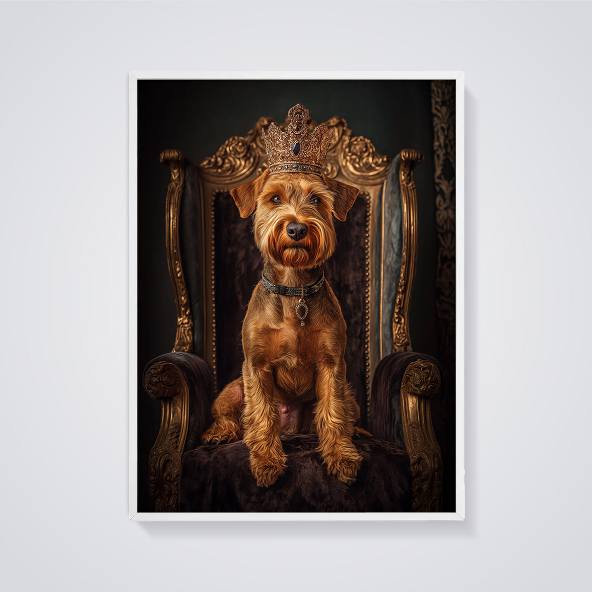 Regal Terrier King Print framed in white on a grey background
