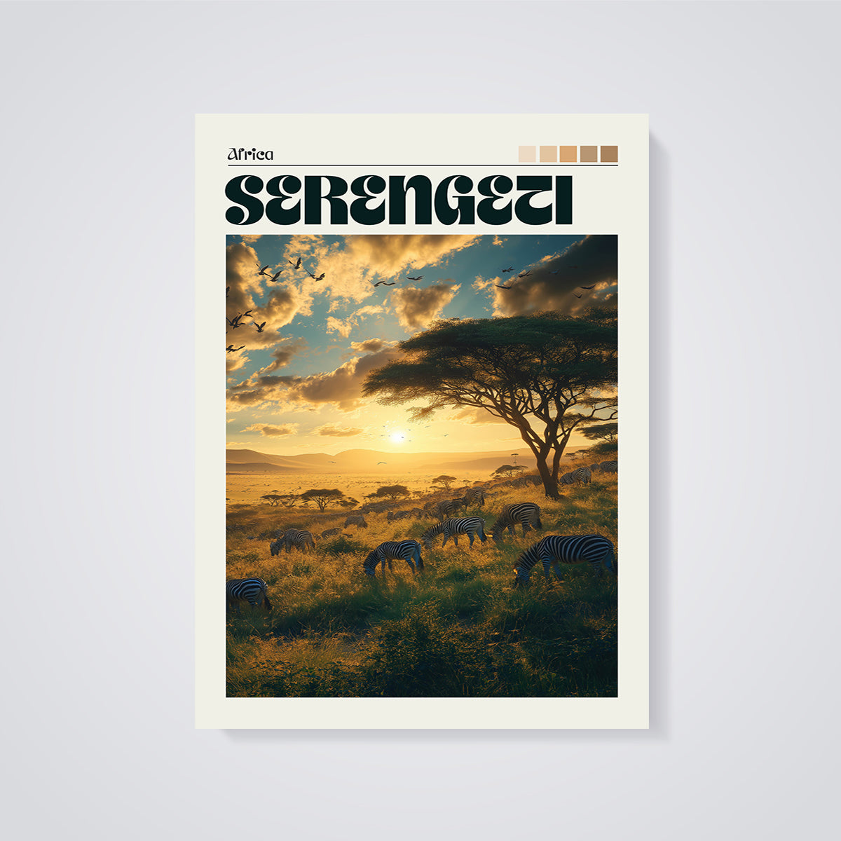 Serengeti Zebras Sunset Print unframed on a grey background