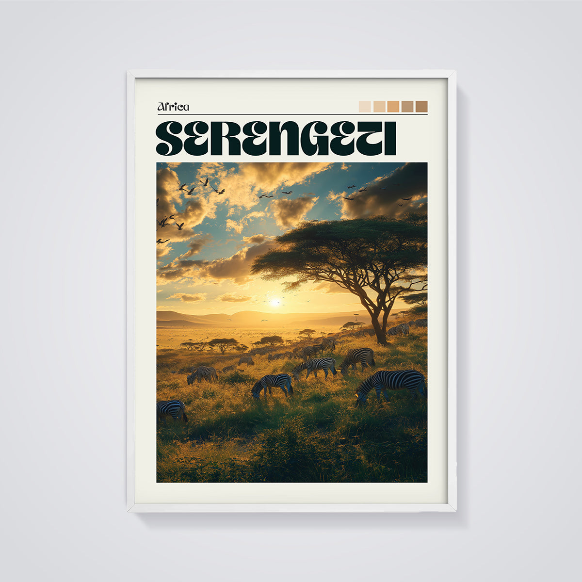 Serengeti Zebras Sunset Print framed in white on a grey background