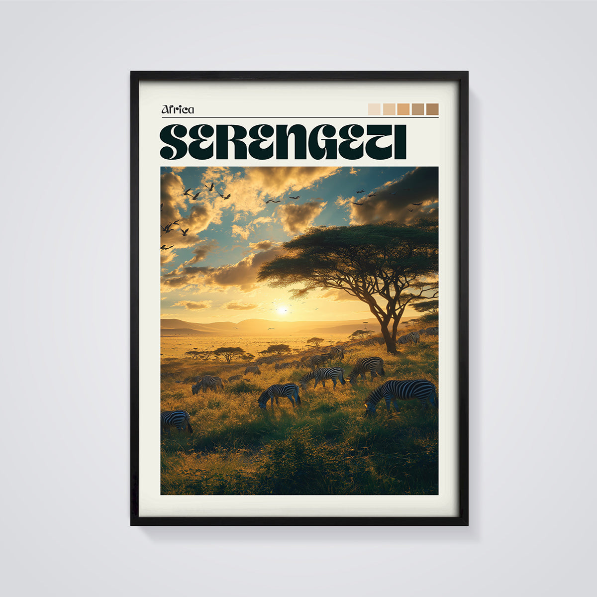 Serengeti Zebras Sunset Print framed in black on a grey background